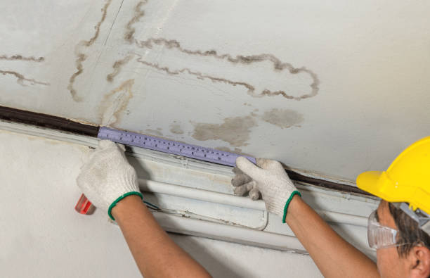Reliable Structural Drying contractor in Creston, WA by Water Damage Irwin